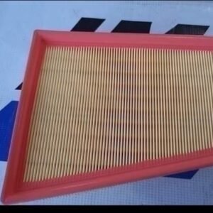 Filtro para aire Sentra 07-12